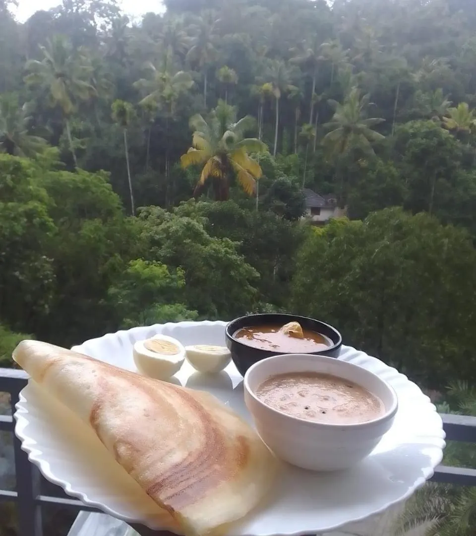 Wild Stories Resort Munnar 3*,  Indien