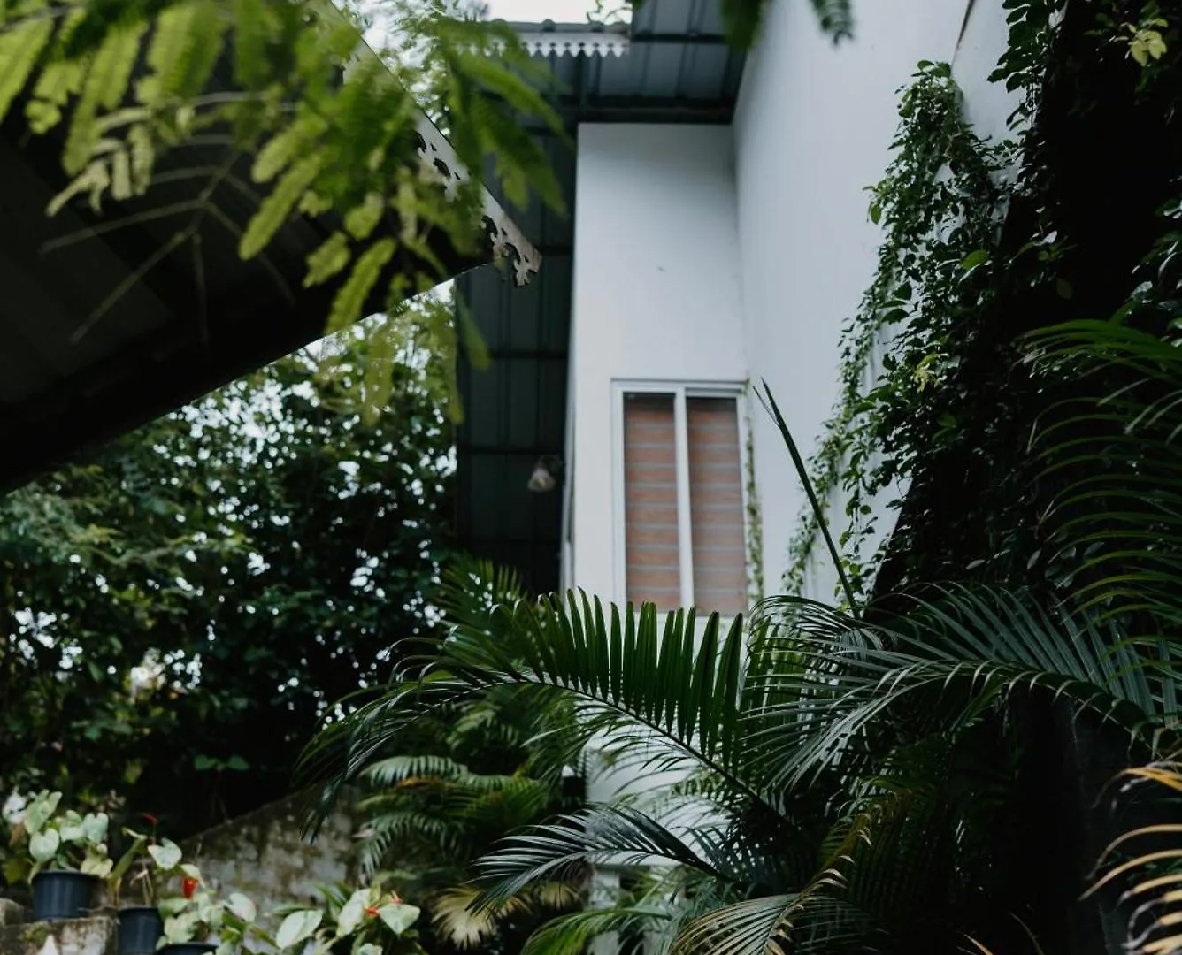 Wild Stories Resort Munnar Indien
