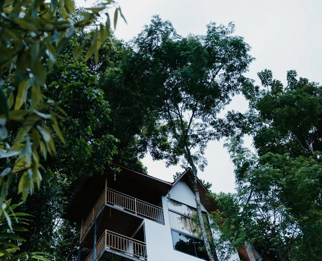 *** Hotel Wild Stories Resort Munnar Indien