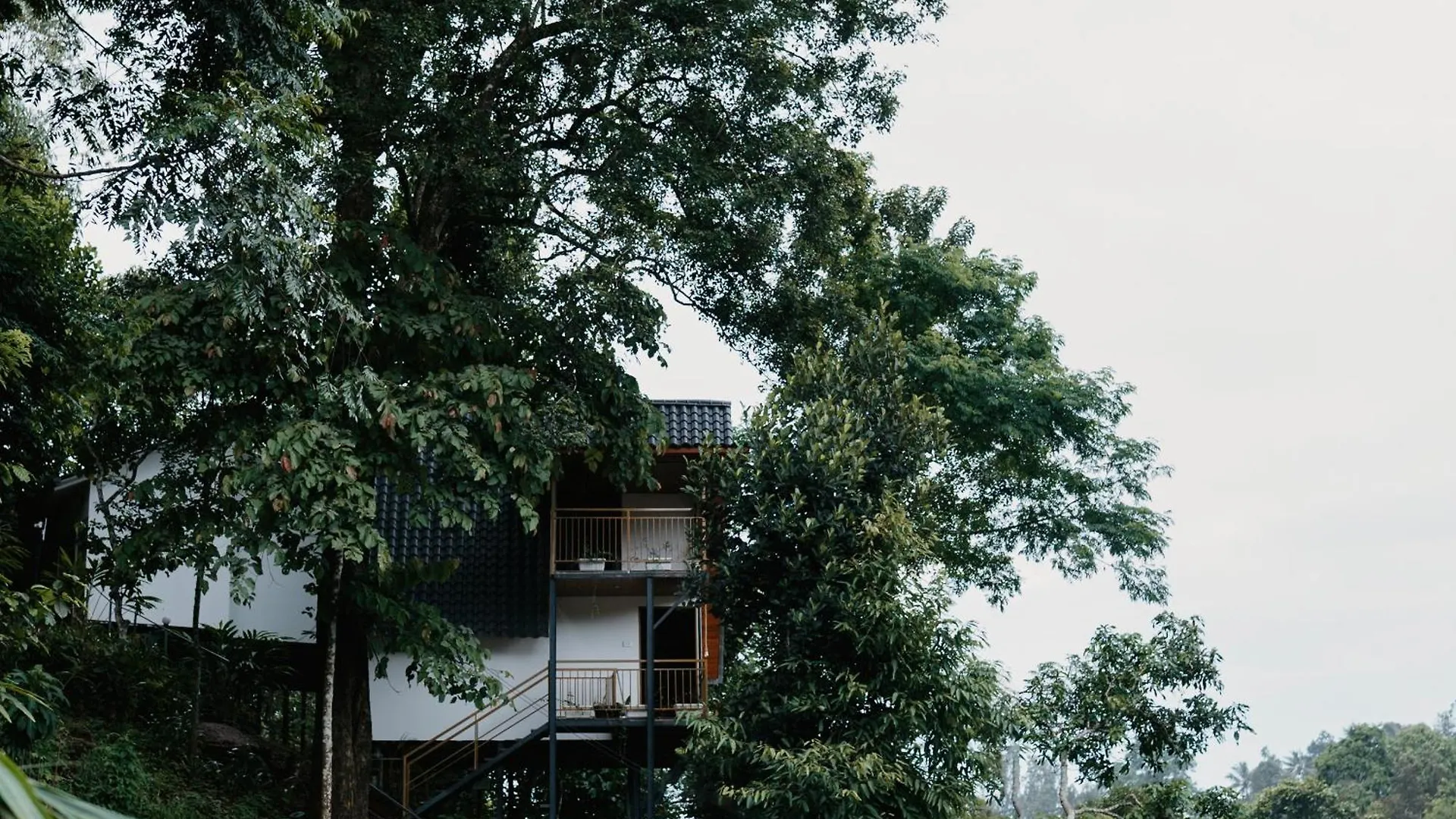 Wild Stories Resort Munnar Indien